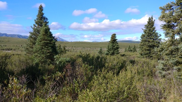 20170729_094629_Burst01